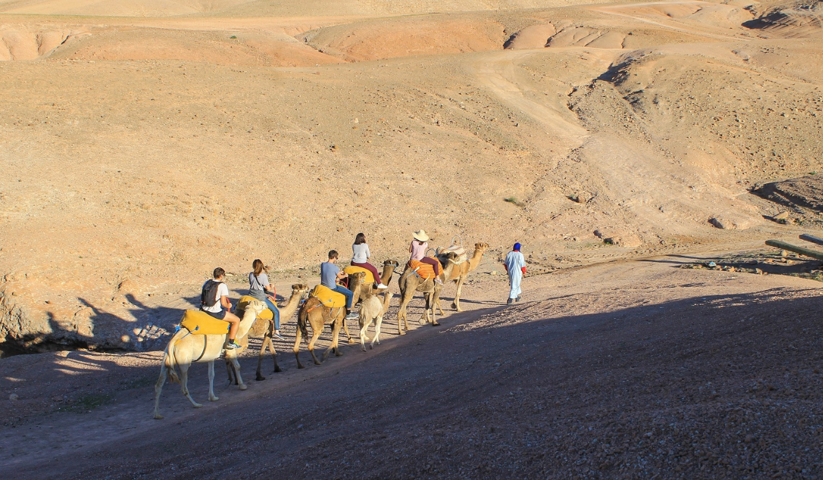 Aventure en Quad