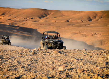 Desert Adventure